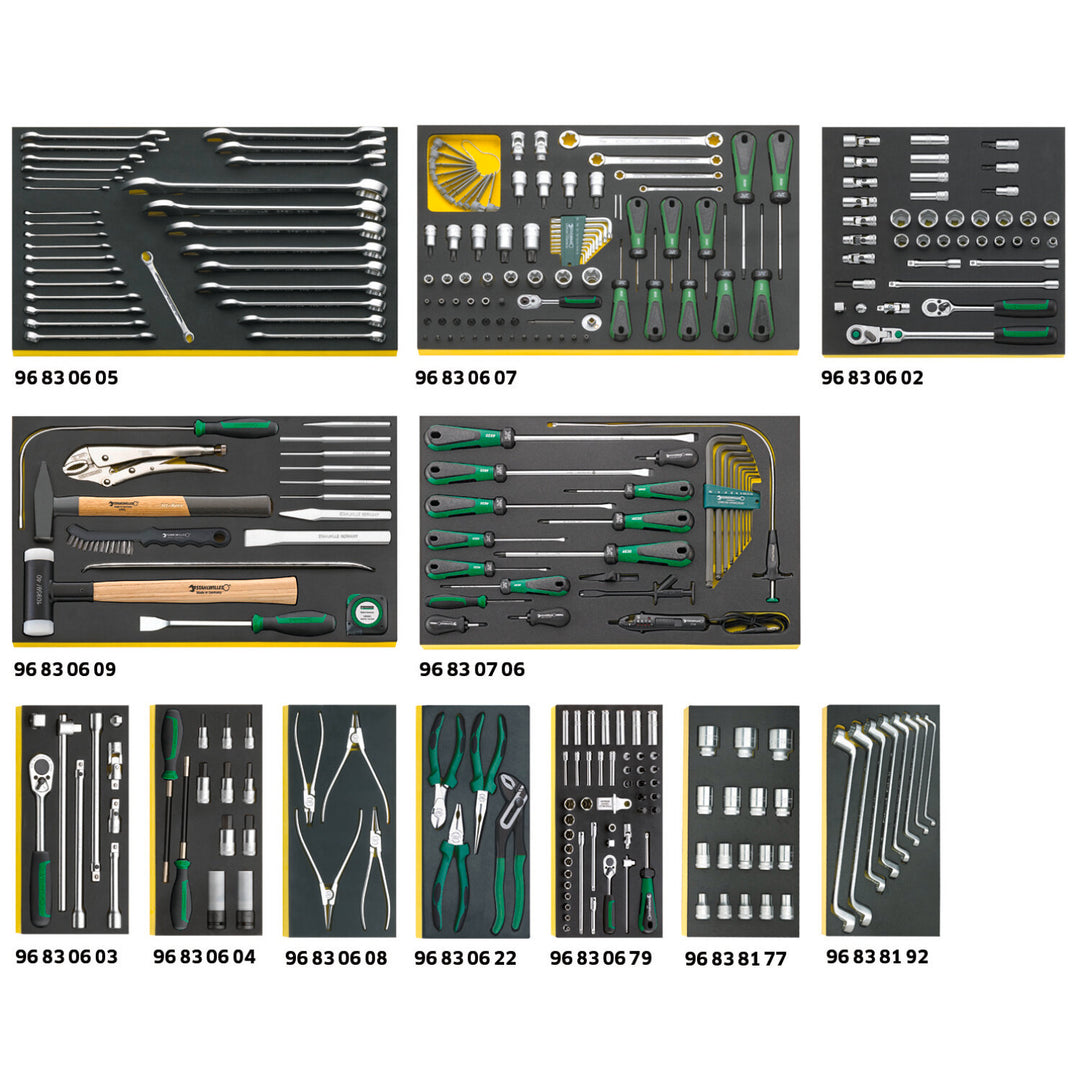 Stahlwille 97830600 2500 TCS Workshop set for BMW vehicles
