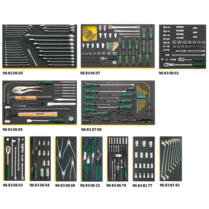 Stahlwille 97830600 2500 TCS Workshop set for BMW vehicles