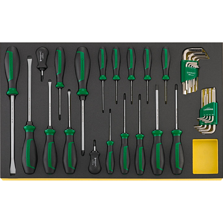 Stahlwille 97830411 1100 TCS Tool set for Porsche