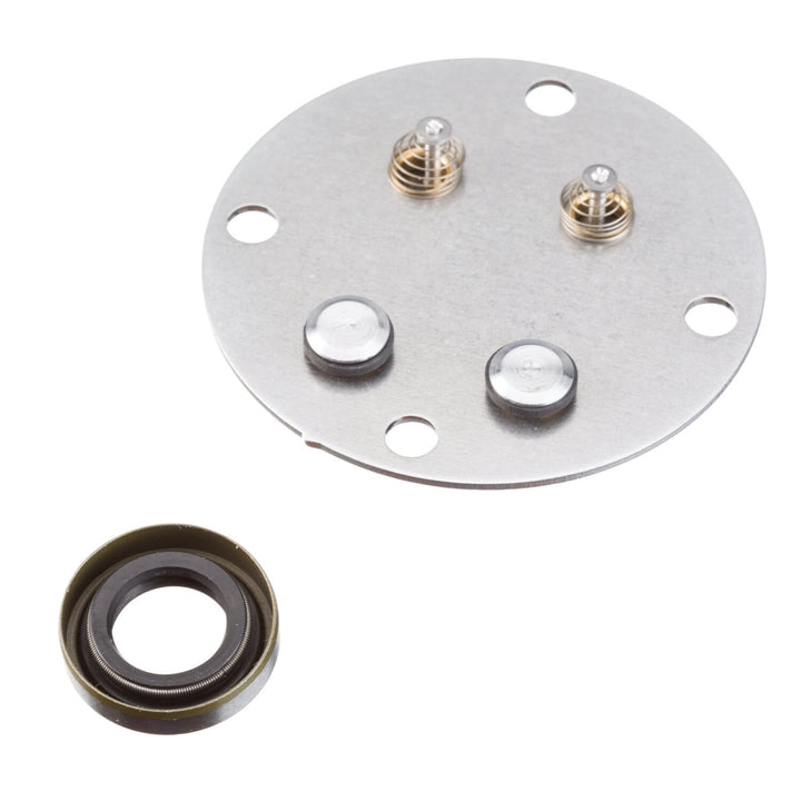 Ridgid 33422 Ml Service Kit Pump