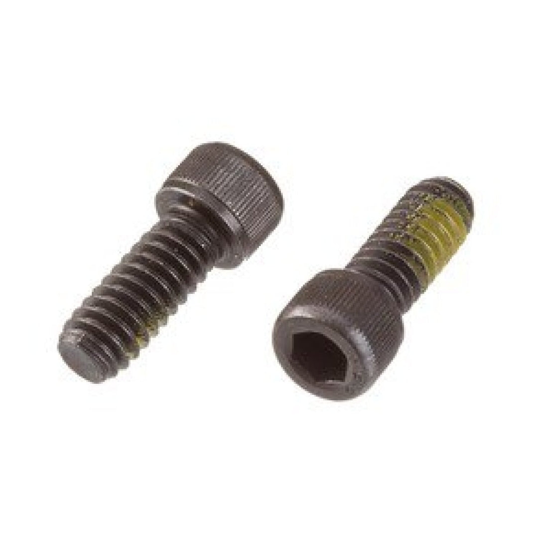 Ridgid 39830 Package of 2 NYLOK Screws