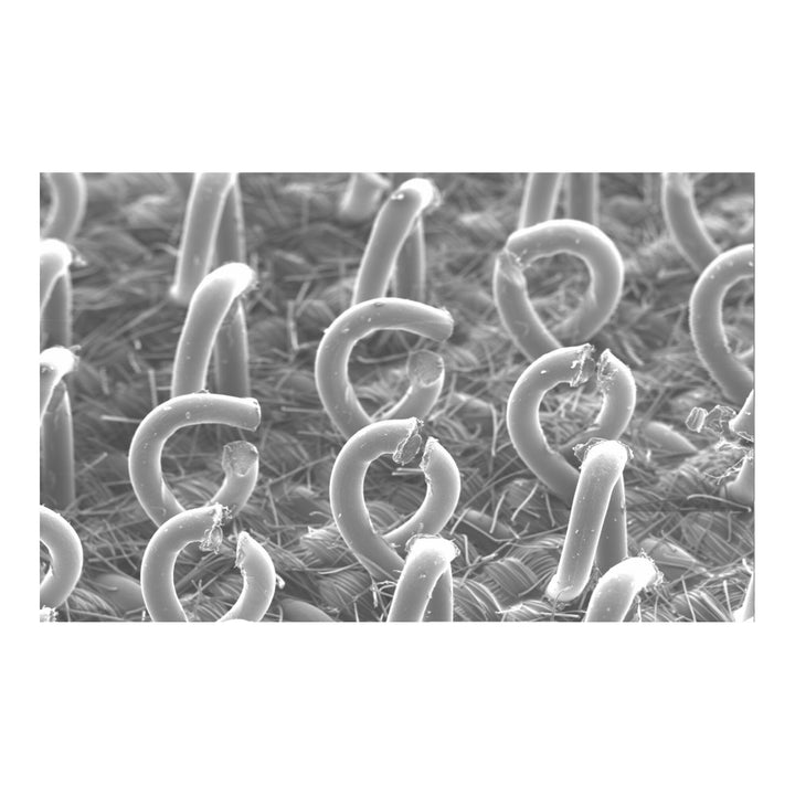 3M Hookit Roloc Disc Pad Type J 82565, 1-1/2 in