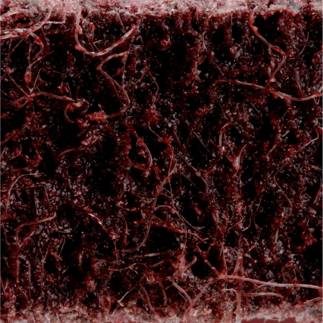 Standard Abrasives Surface Conditioning RC Belt 888052, 1/2 in x 24 in
MED