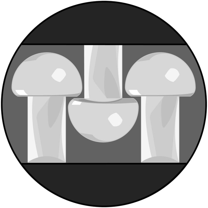 3M Dual Lock Low Profile Reclosable Fastener SJ4570, Clear, 4 in x 50yd