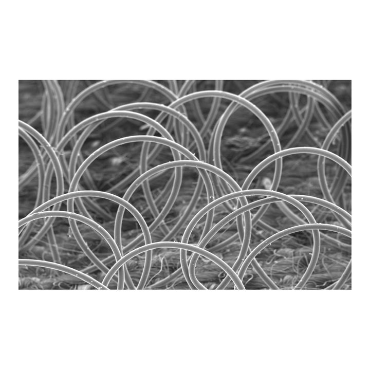 3M Hookit Red Finishing Film Abrasive Disc 260L, 01135, 6 in, Dust
Free, P1000