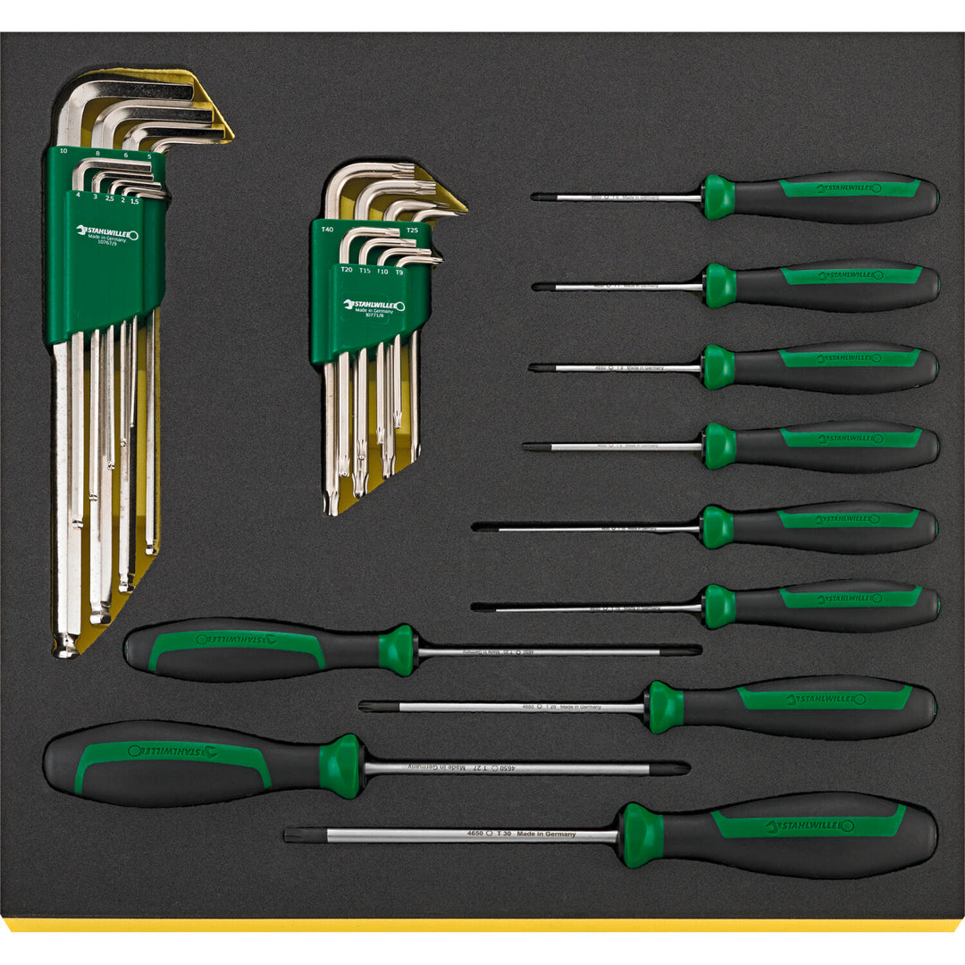 Stahlwille 97830820 1120 TCS Workshop set for VW/Audi (basic)
