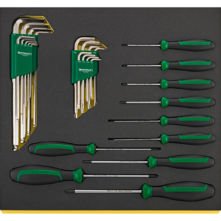 Stahlwille 97830820 1120 TCS Workshop set for VW/Audi (basic)