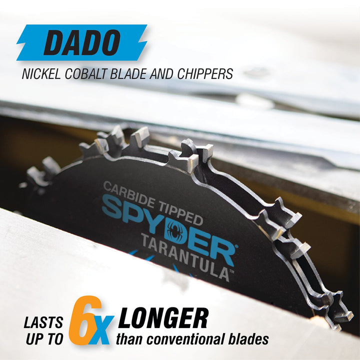 Spyder 13024 Dado 8-in 12 -Tooth Fine Finish Tungsten carbide-tipped steel Dado Miter/Table saw blade Set