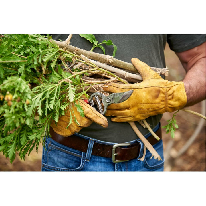 Corona BP 3180D ClassicCUT® Bypass Pruner, 1 in. Cut Capacity