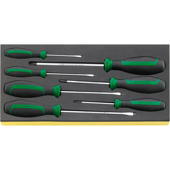 Stahlwille 98830004 806/9 TCS TCS tool set