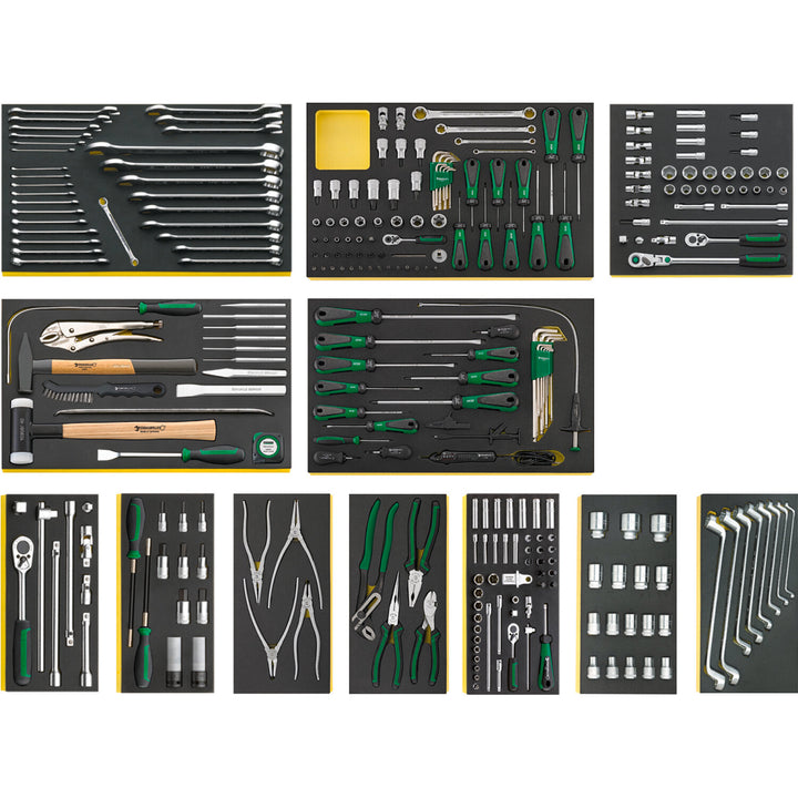 Stahlwille 97830600 2500 TCS Workshop set for BMW vehicles