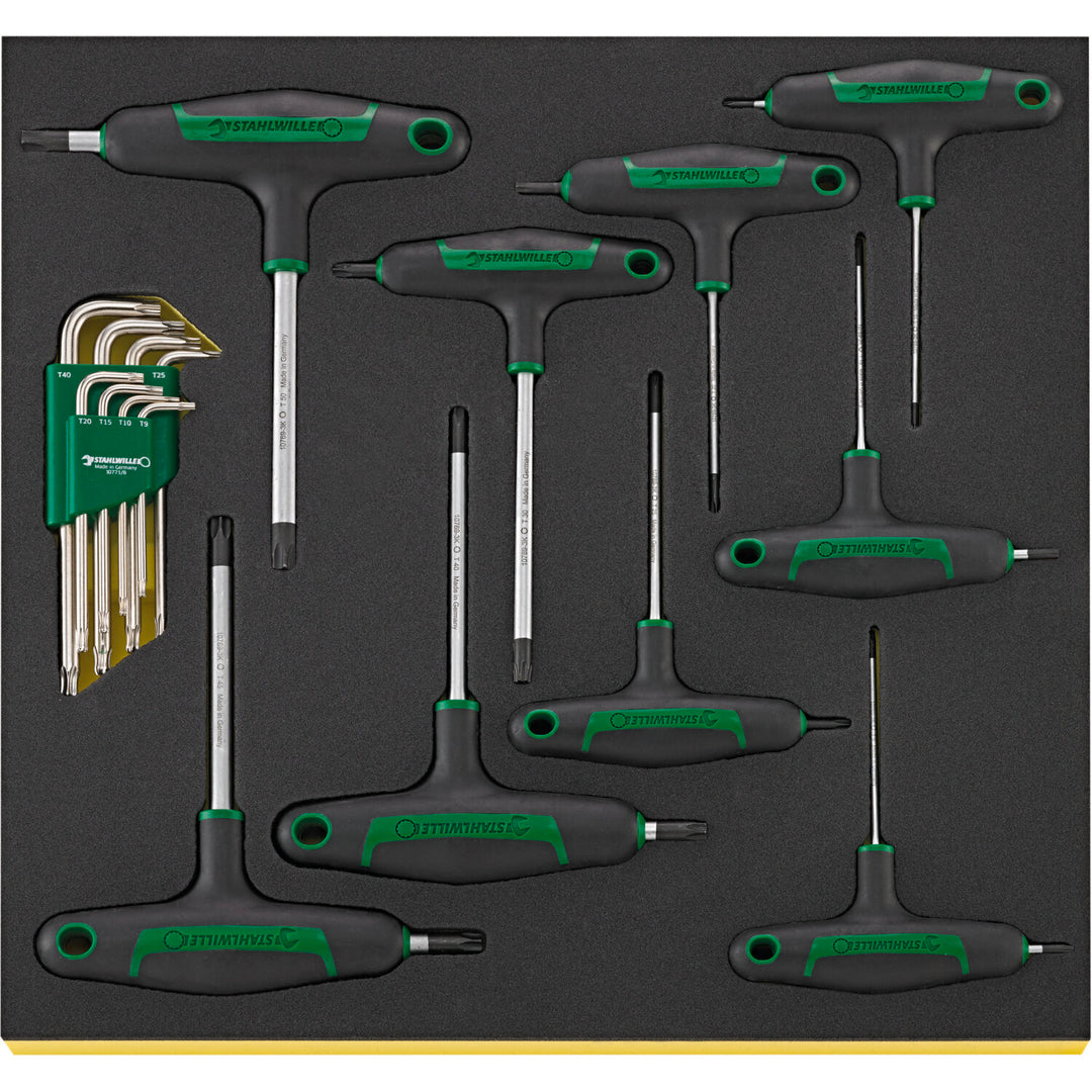 Stahlwille 97830606 2501N TCS Workshop set for BMW motorbikes