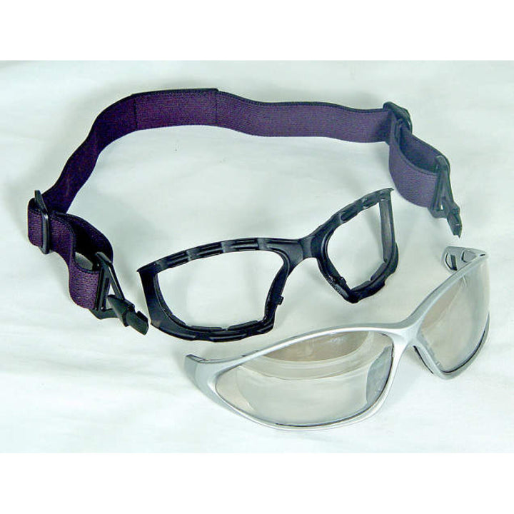 DEWALT DPG95 Framework Protective Eyewear- Silver Frame