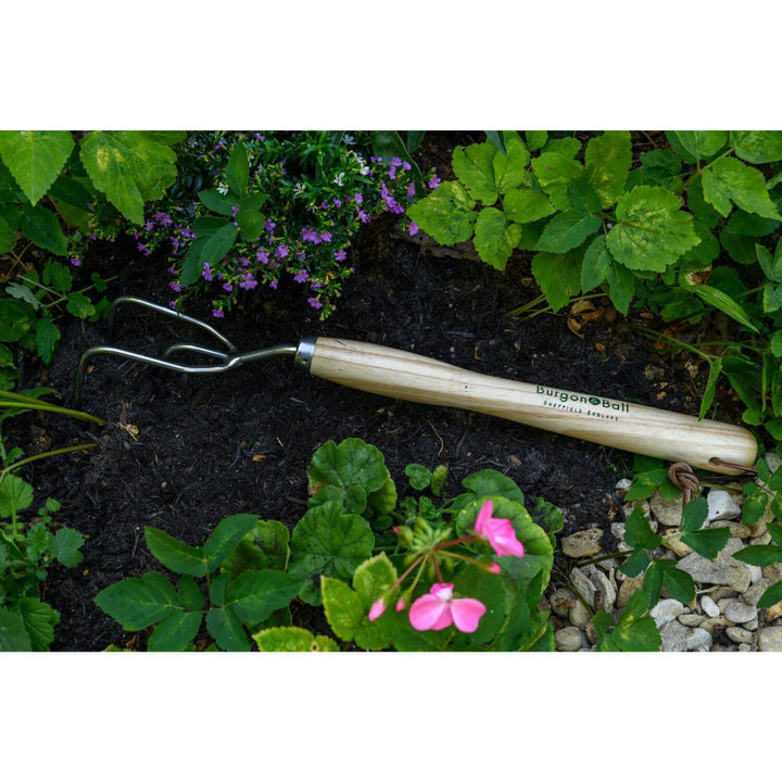 Corona GTH/SCCMHRHS Mid-Handled Stainless Steel Claw Cultivator, Wood Grip, RHS Endorsed