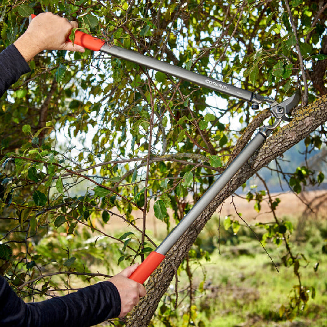 Corona-SL15167 · ClassicCUT® Bypass Lopper - 31 Inch