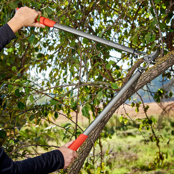 Corona-SL15167 · ClassicCUT® Bypass Lopper - 31 Inch