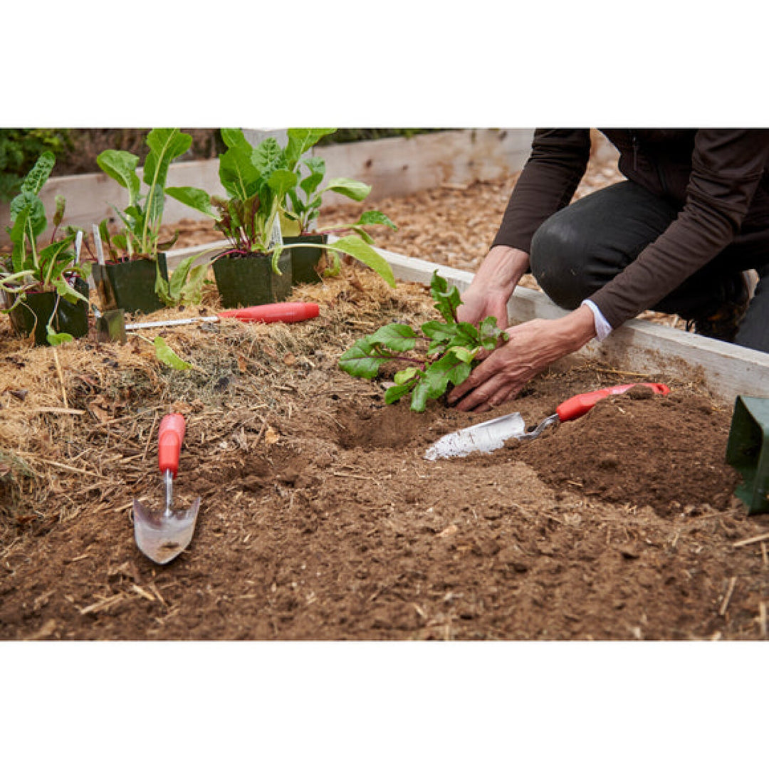 Corona CT 3324 ComfortGEL® Transplanter Premium StainlessSTEEL