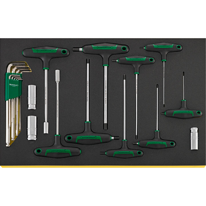 Stahlwille 97830606 2501N TCS Workshop set for BMW motorbikes