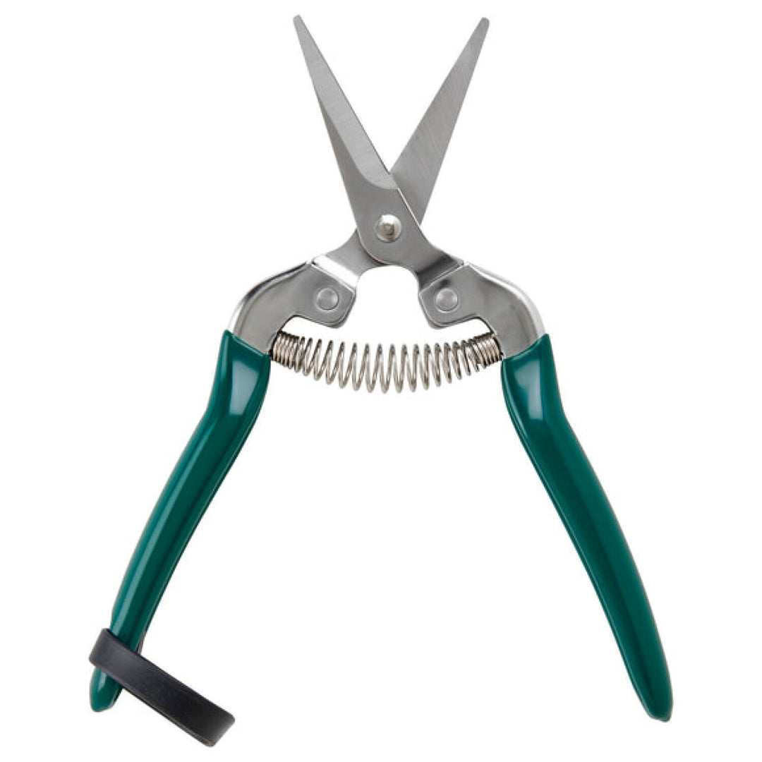Corona GTO/FFS  RHS® Flower & Fruit Snip