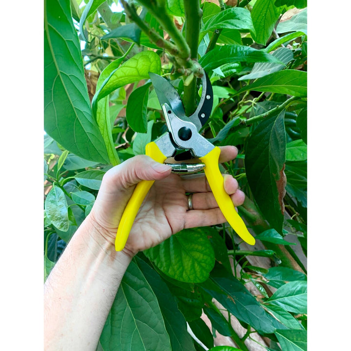 Corona GFB/BSYELL Florabrite Bypass Pruner, Neon Yellow, 1 in. Cut Capacity, RHS Endorsed