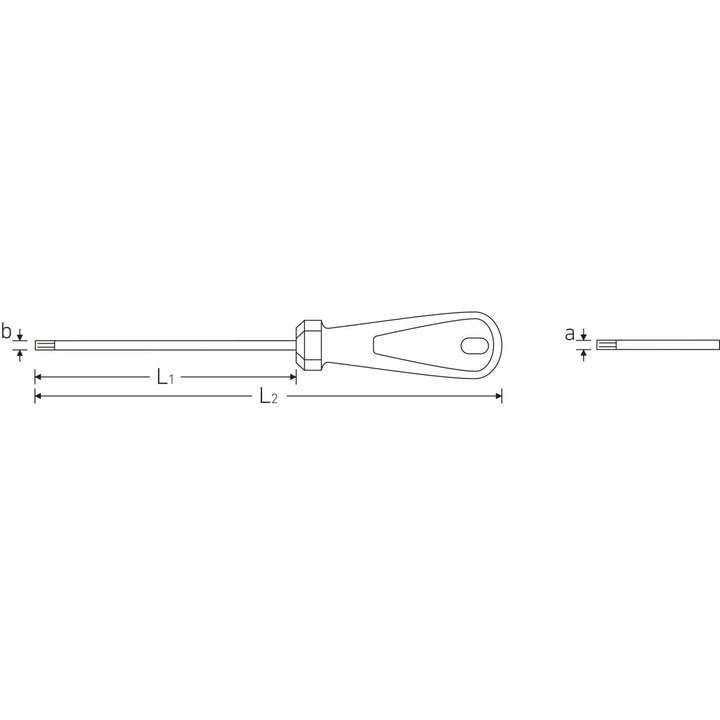 Stahlwille 48560010 4856 3K DRALL T10s x 80mm Security TORX® Screwdriver