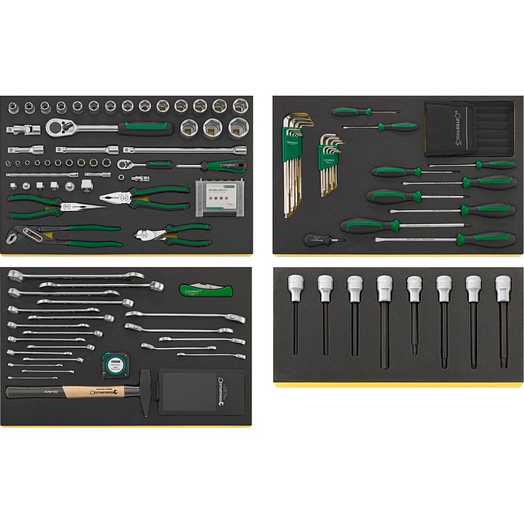 Stahlwille 97830607 2502 TCS Workshop set for BMW motorbikes