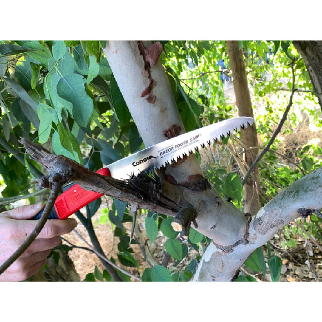 CRNA-RS 7041 · RazorTOOTH Saw Arborist Folding Pruning Saw - 7 Inch