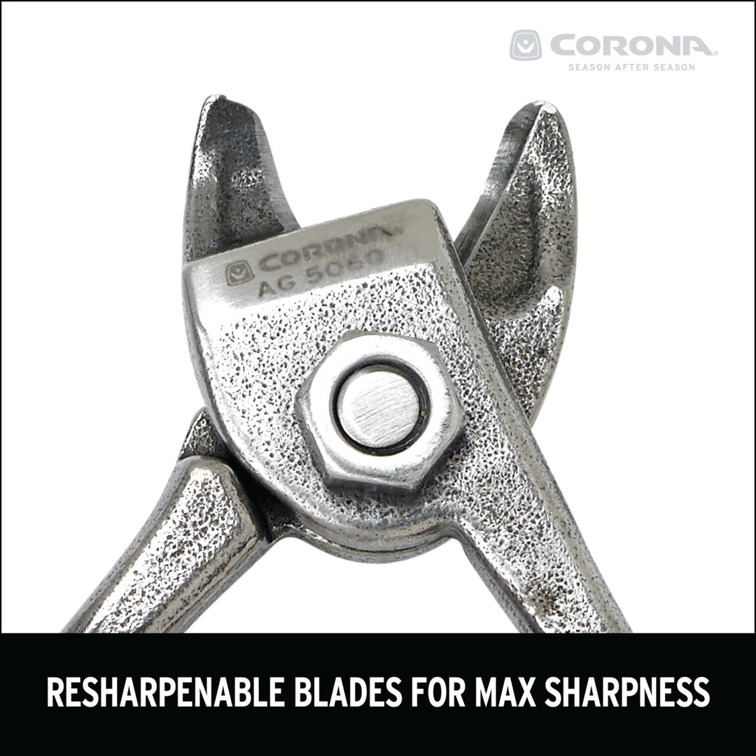 Corona AG 5060 Orange and Apple Bypass Shears