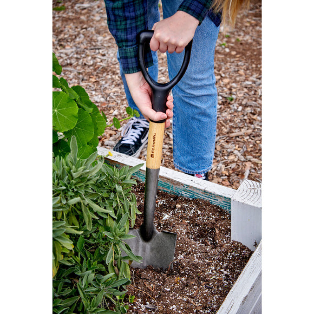 Corona-SL15167 · ClassicCUT® Bypass Lopper - 31 Inch