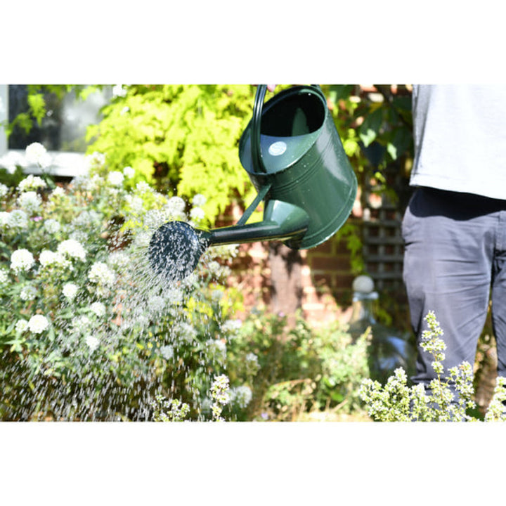 Corona GTW/W9DG  Burgon & Ball® Watering Can 9L British Racing Green