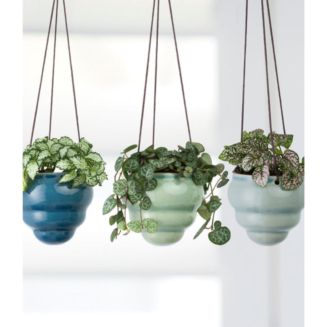 Corona-GIG/HBOMTRIO · Burgon & Ball® Baby Bombini Trio Vases