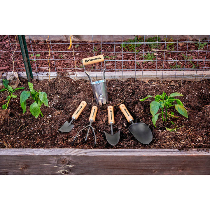 Corona CT 4080  Wooden Handle Bulb Transplanter