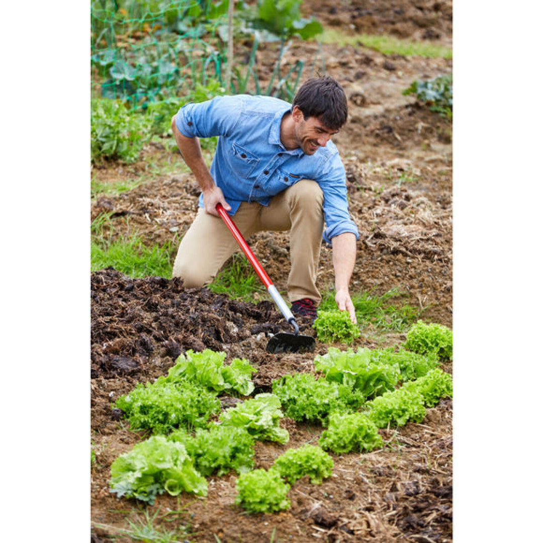 CRNA-SH 60060 · Garden Hoe - 6 Inch