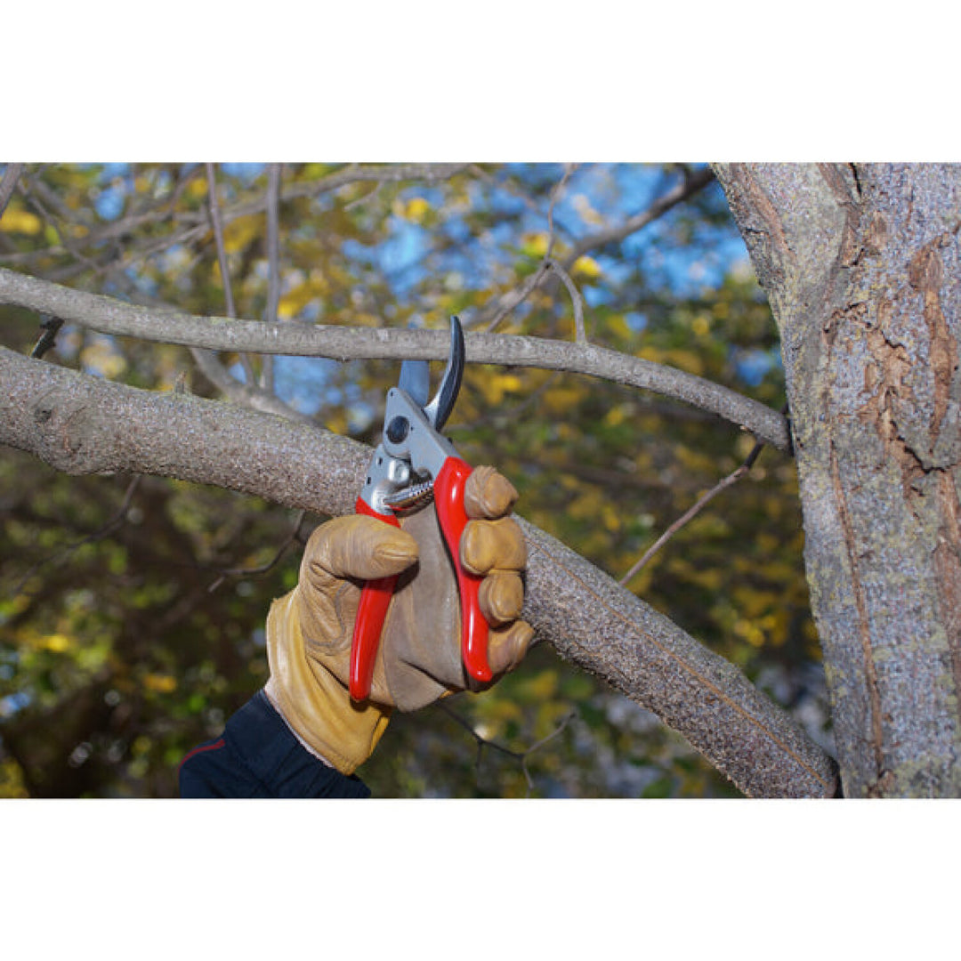 Corona BP 6360  ALUMINUM Bypass Pruner - 1 Inch, Angled, Right-Handed