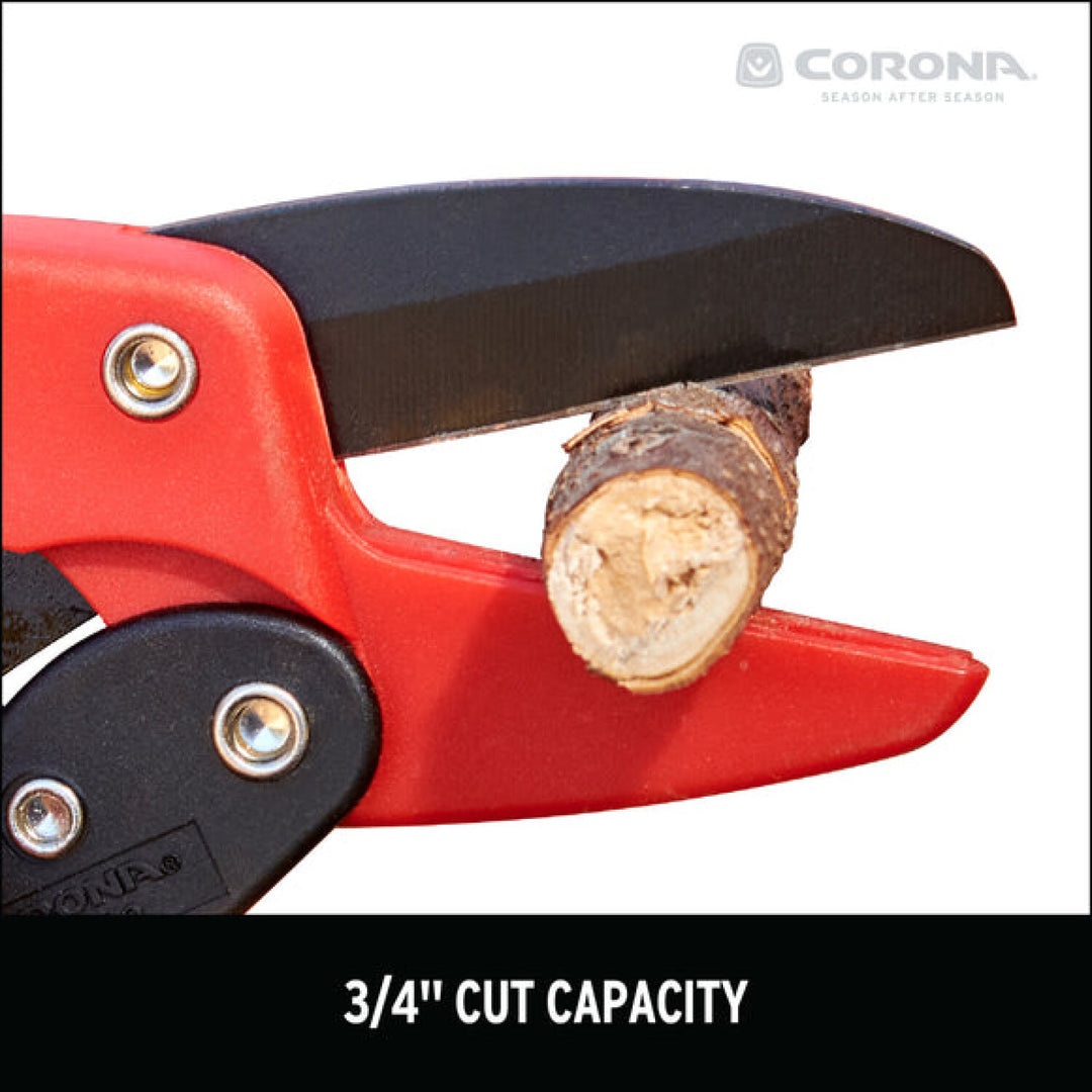 CRNA-RP 3230 · Ratchet Pruner - 3/4 Inch