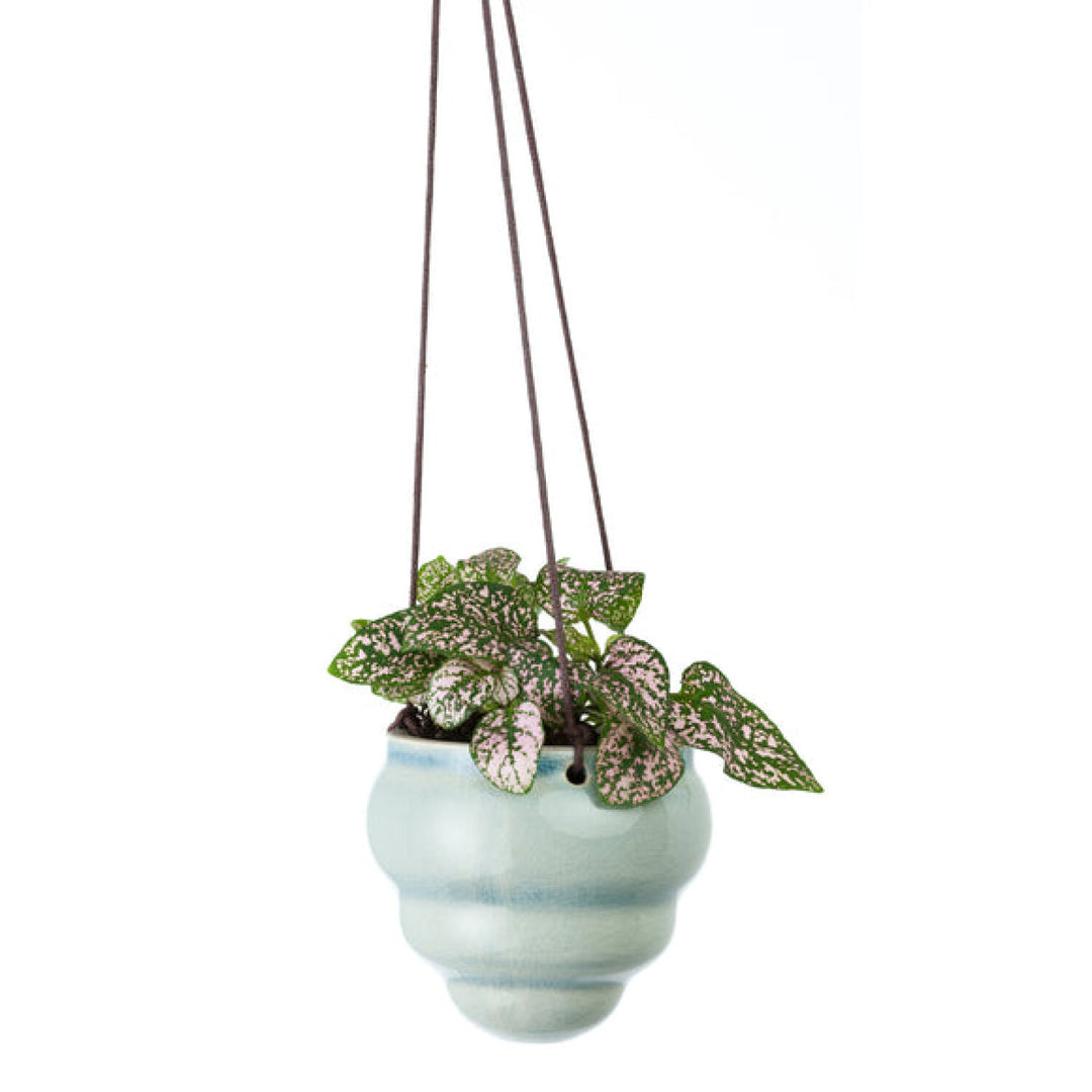 Corona-GIG/HBOMTRIO · Burgon & Ball® Baby Bombini Trio Vases