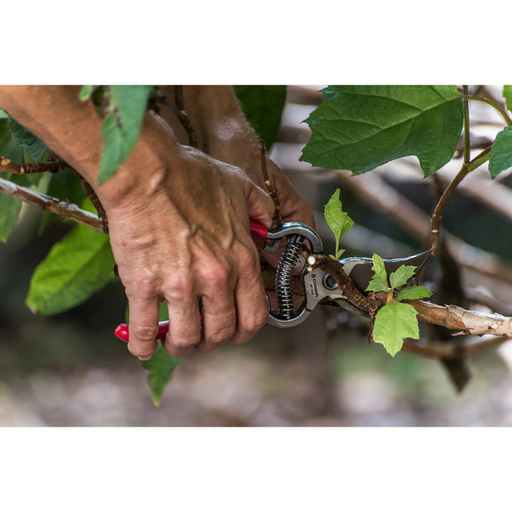 Corona-SP 9934 · BP 3160 ClassicCUT Bypass Pruner Bonus Pack