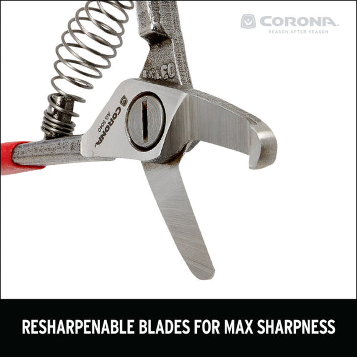 Corona AG 5040  Avocado Shears