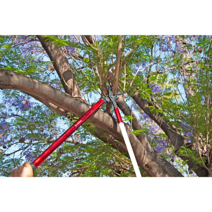 Corona AL15149  ClassicCUT® Bypass Lopper - 36 Inch
