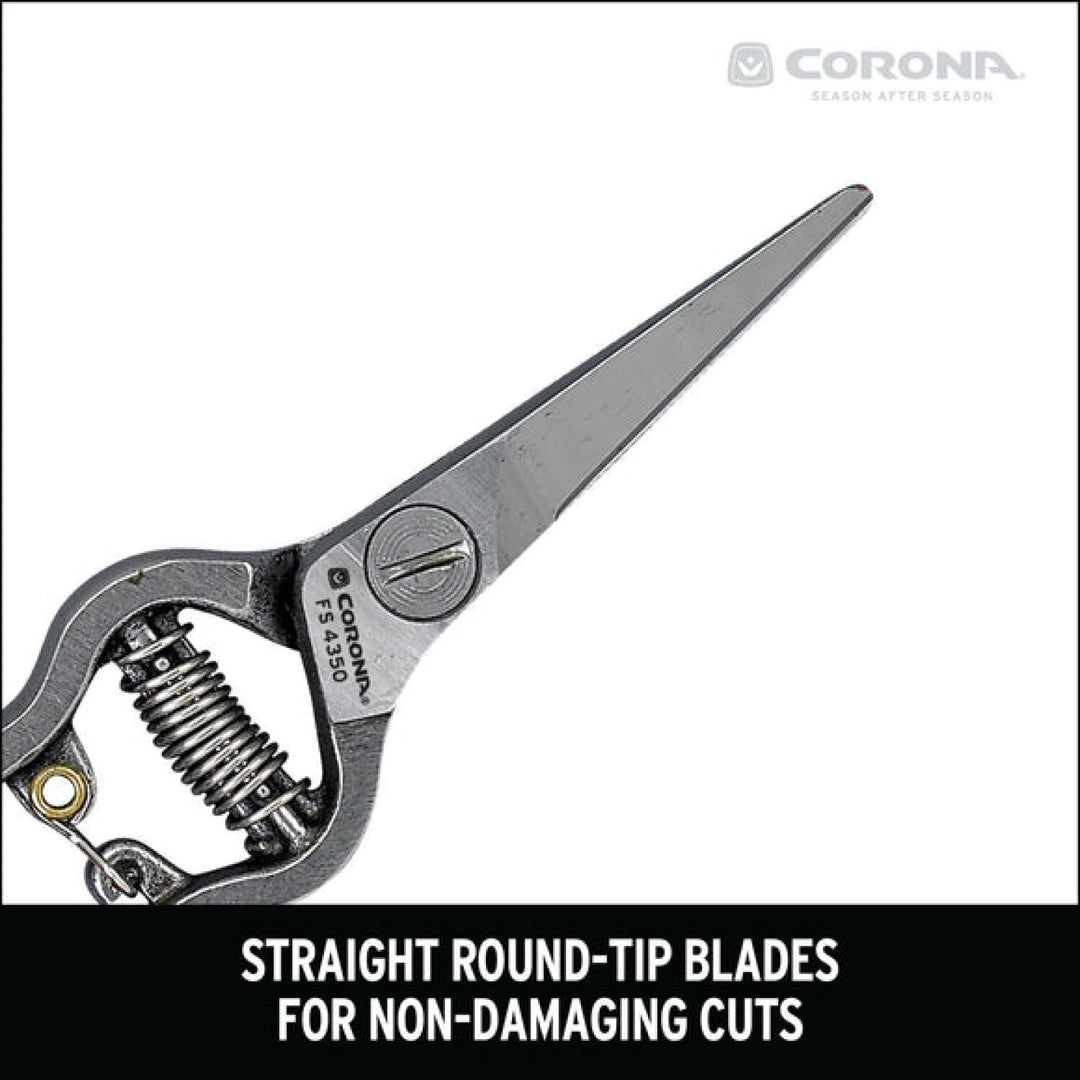 Corona FS 4350  Thinning Shears