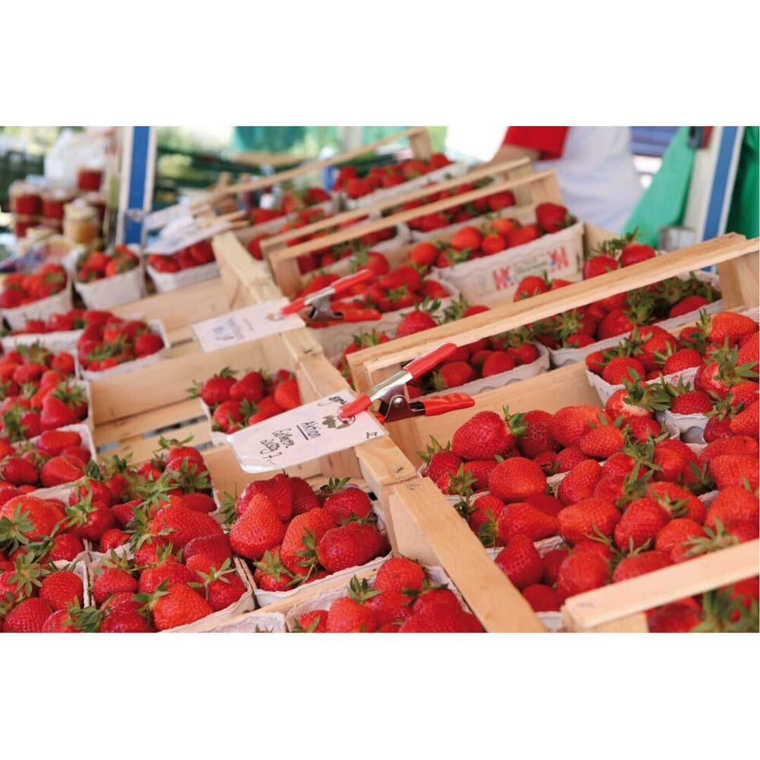 Bessey XM5 Clamp, spring clamp, metal, 2-1/4 In. x 2 Inch