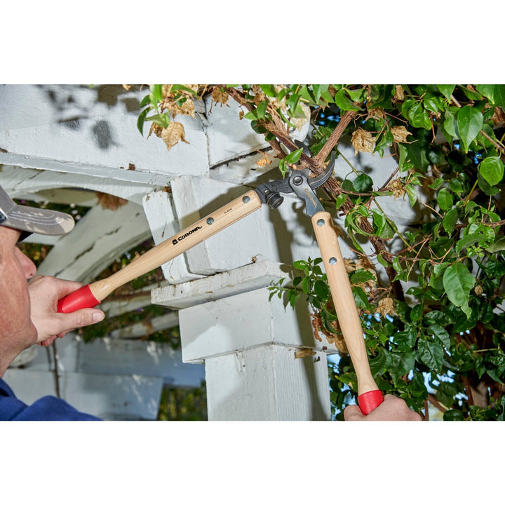 Corona WL 6310 Hickory Handle ClassicCUT Bypass Vine Lopper, 20 in., 1-1/4 in. Cut Capacity