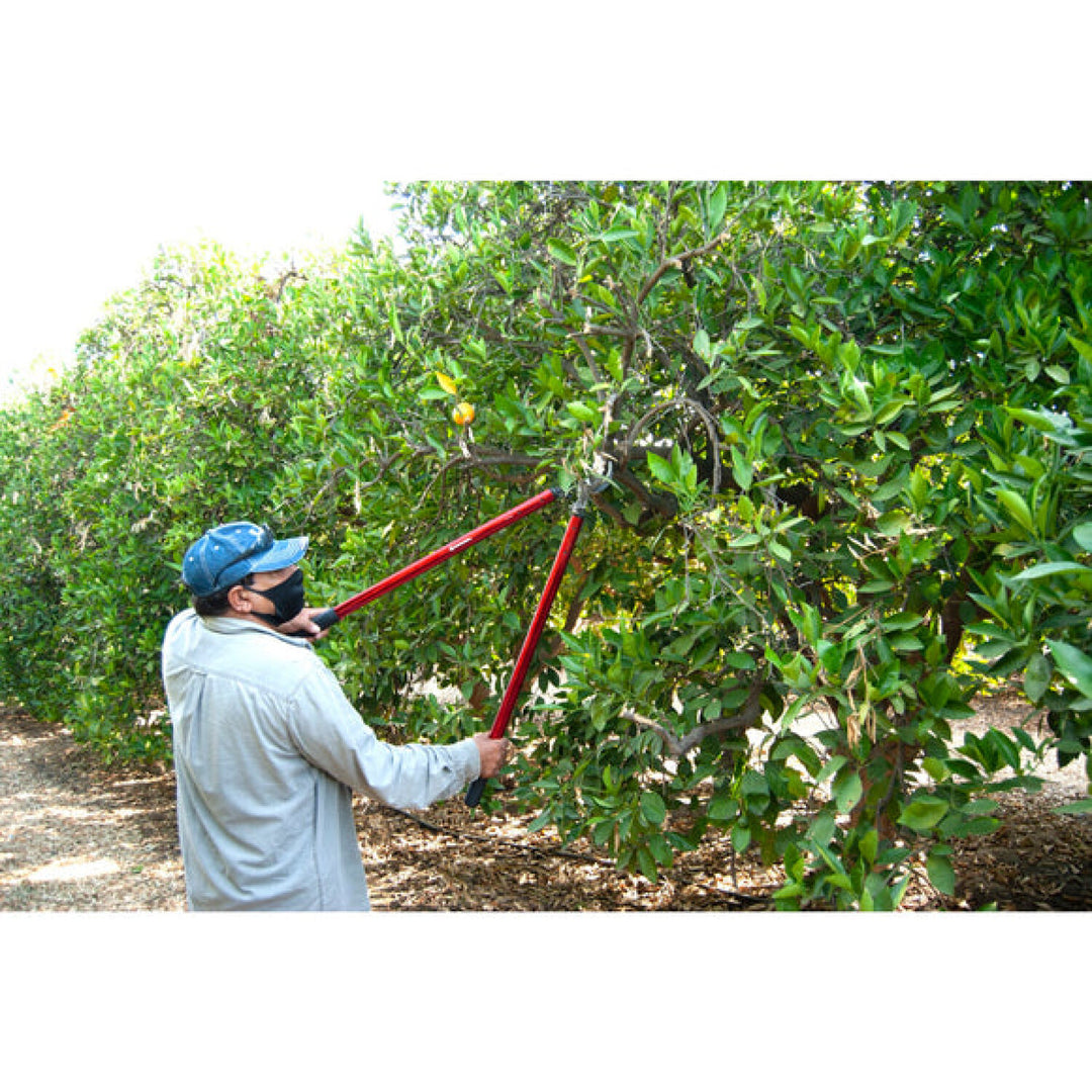 Corona AL15148  ClassicCUT® Bypass Lopper - 32 Inch