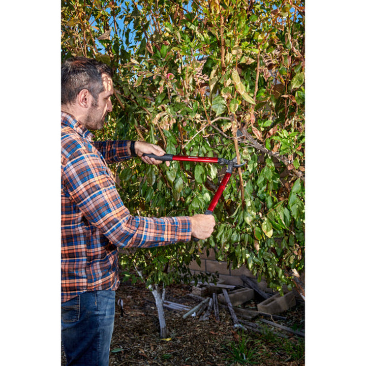 Corona AL 8350  ClassicCUT® Bypass Lopper - 20 Inch