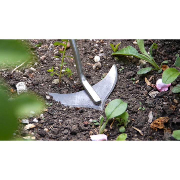 Corona-GTC/SLICE · Burgon & Ball® FSC Wood Weed Slice