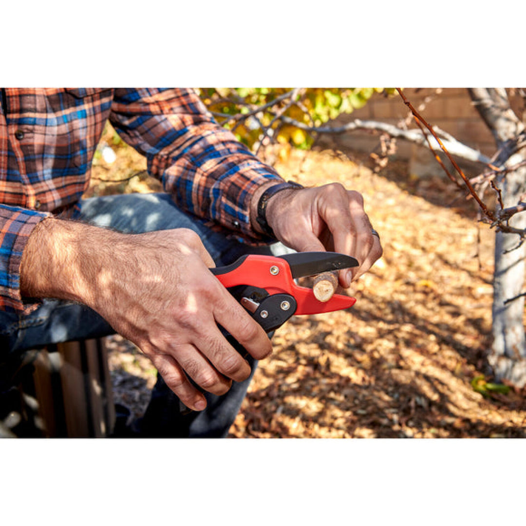 CRNA-RP 3230 · Ratchet Pruner - 3/4 Inch