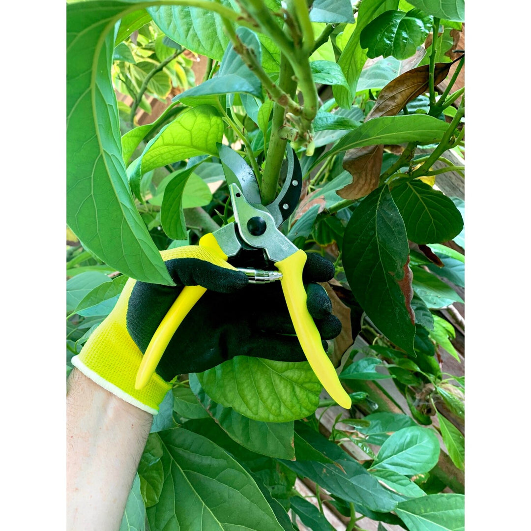 Corona GFB/BSYELL Florabrite Bypass Pruner, Neon Yellow, 1 in. Cut Capacity, RHS Endorsed