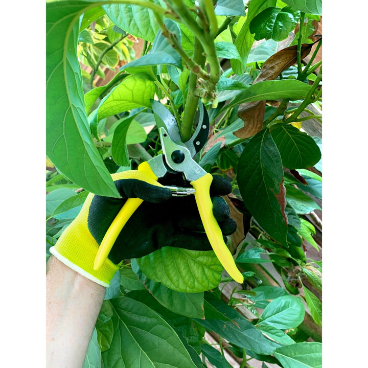 Corona GFB/BSYELL Florabrite Bypass Pruner, Neon Yellow, 1 in. Cut Capacity, RHS Endorsed