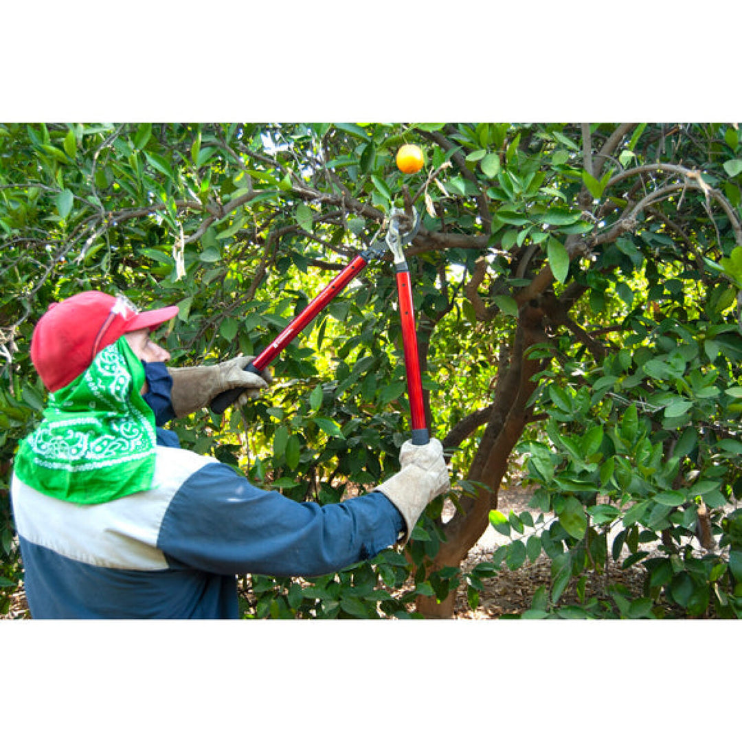 Corona AL15148  ClassicCUT® Bypass Lopper - 32 Inch