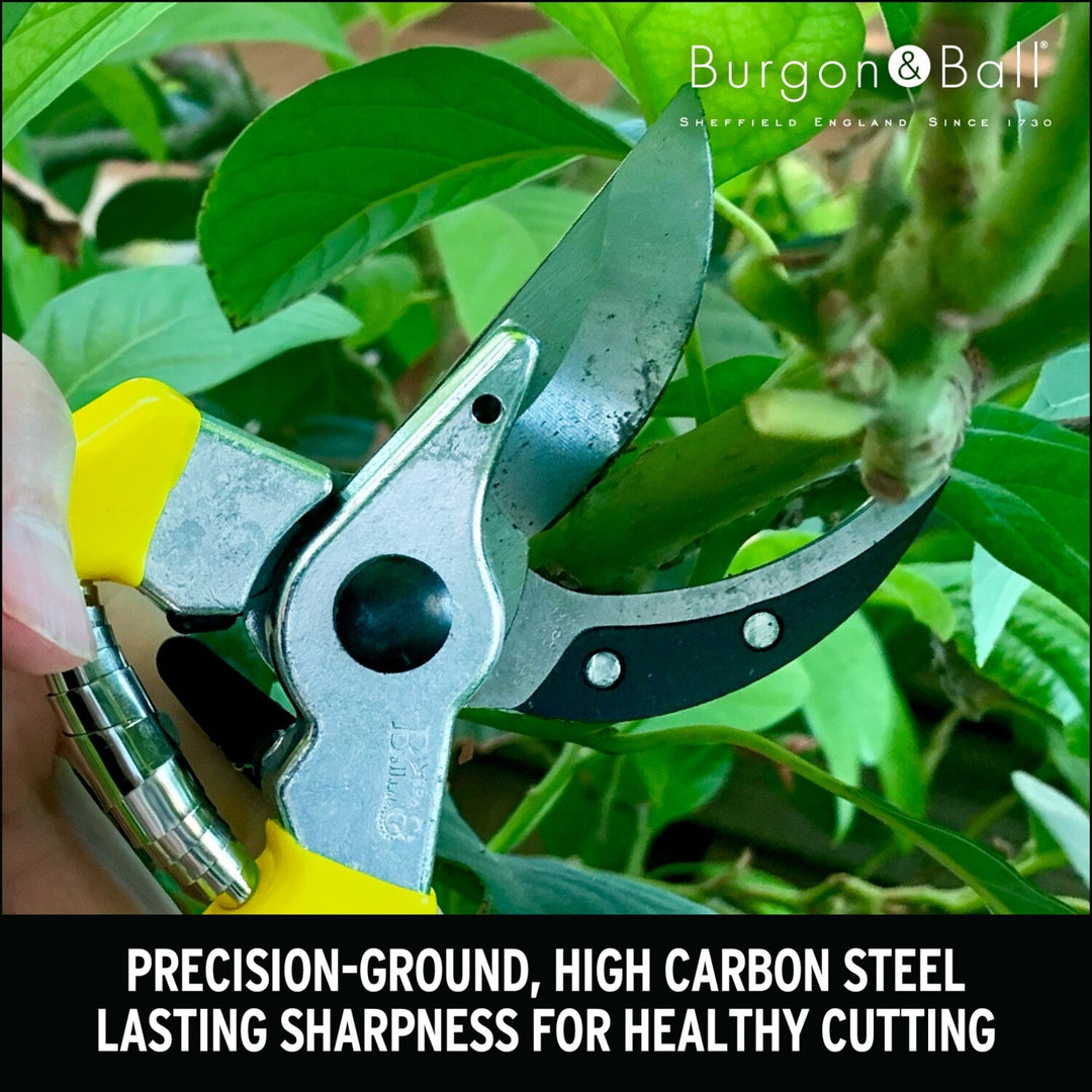 Corona GFB/BSYELL Florabrite Bypass Pruner, Neon Yellow, 1 in. Cut Capacity, RHS Endorsed